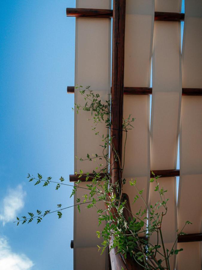 Villa Braou 로다키노 외부 사진
